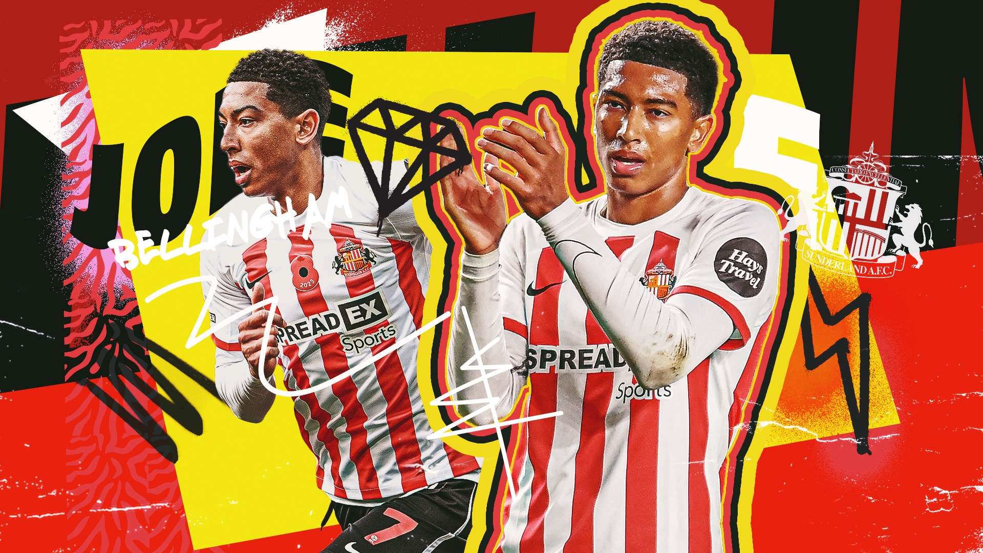 本文将深入 本文将深入